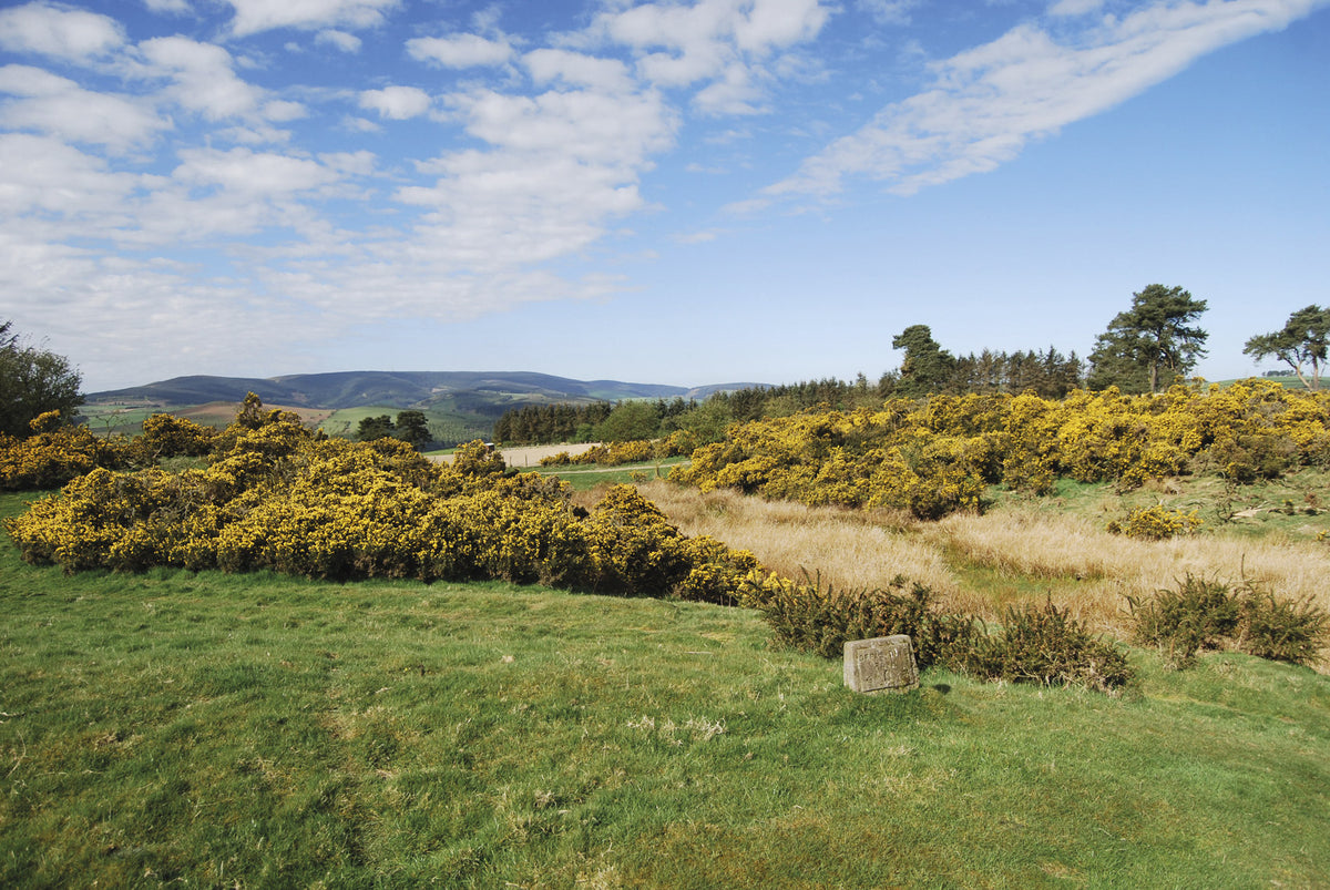 Offa's Dyke Path Trail Map - Route Photos - Radnor Forest from the northern slopes of Hawthorn Hill