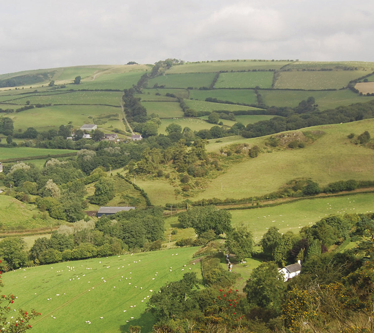 Offa's Dyke Path Trail Map - Route Photos - The descent from Cwm-sanaham Hill to Brynorgan, with the Dyke seen climbing Llanfair Hill in the background