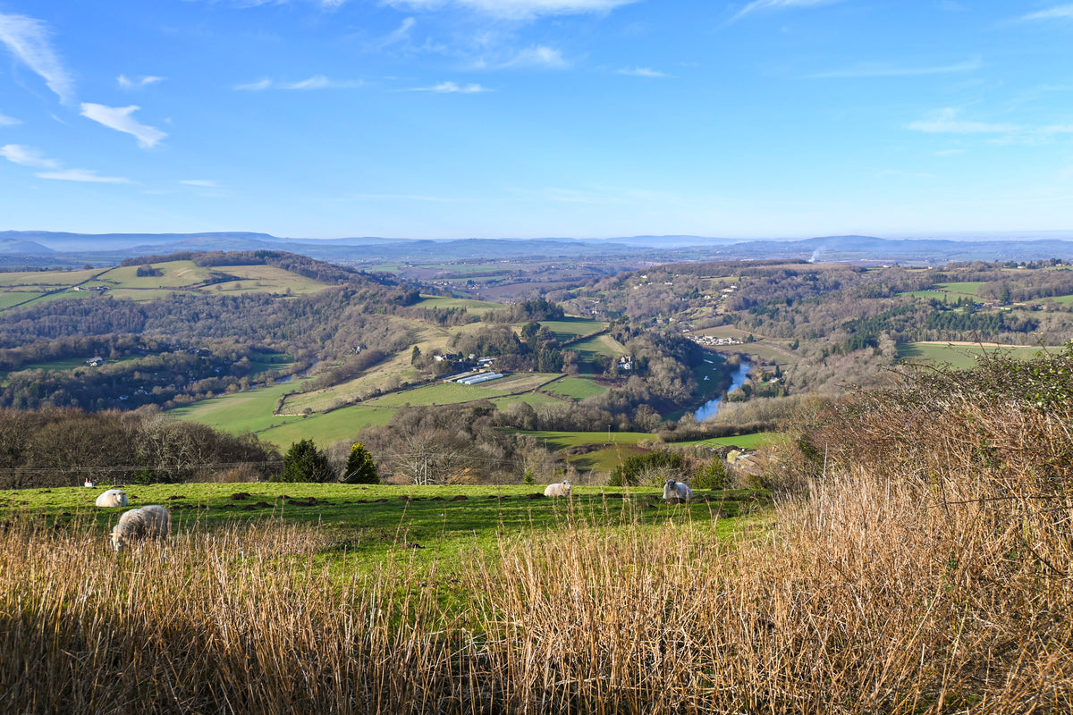 15 Short Walks in the Forest of Dean - Route Photos - The Wye valley from Readings