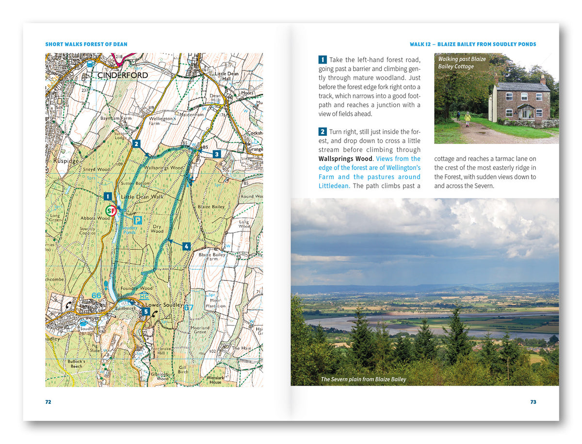 15 Short Walks in the Forest of Dean - Route Photos