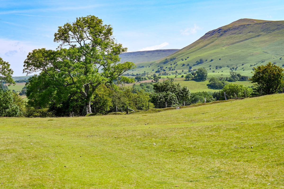 15 Short Walks in the Wye Valley - Route Photos - Crossing Rhos Fawr, with Twmpa (Lord Hereford’s Knob) beyond