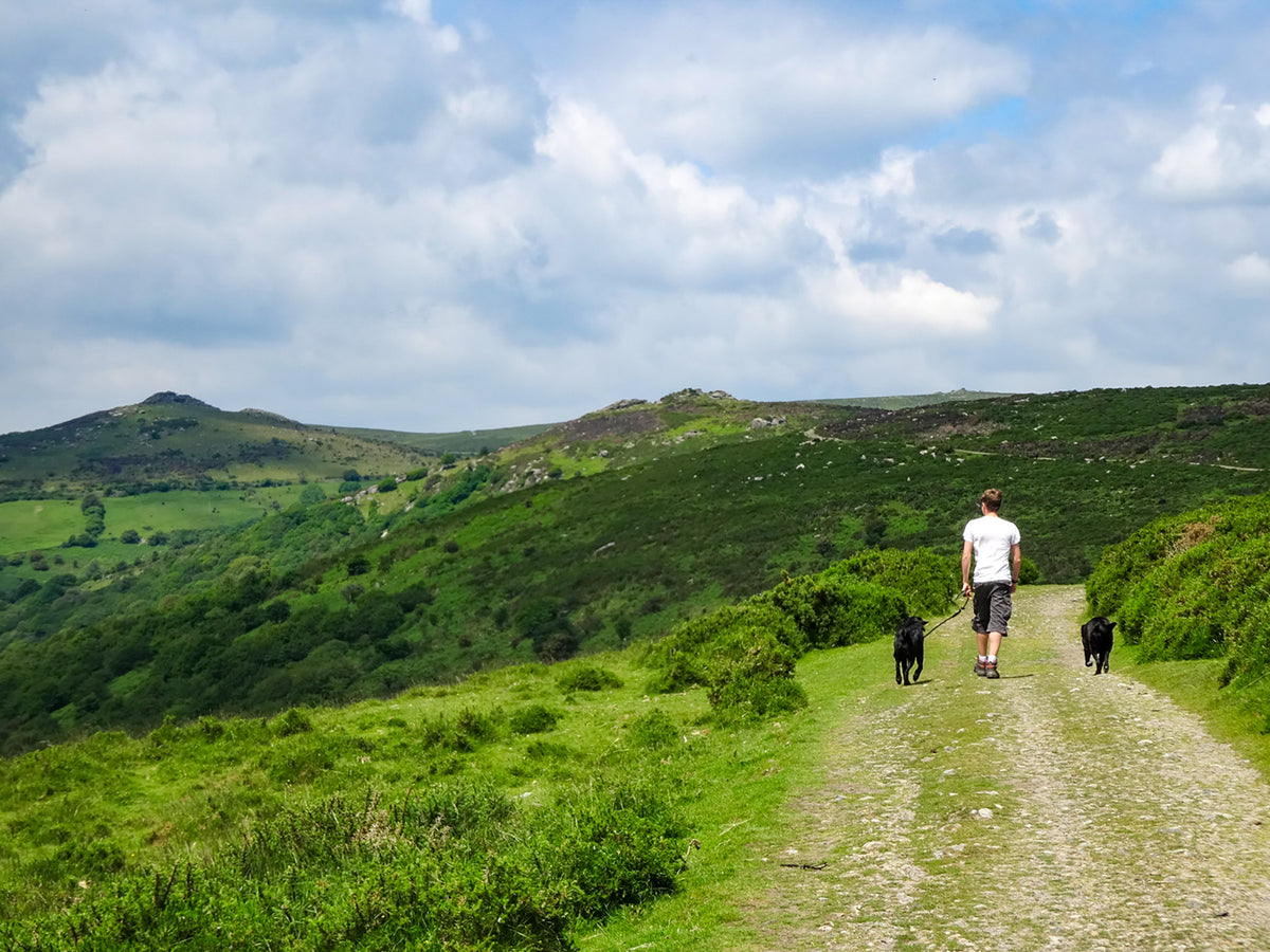 The Two Moors Way Trail Map - Route Photos - The River Barle at Cow Castle, Exmoor (Stage 10)