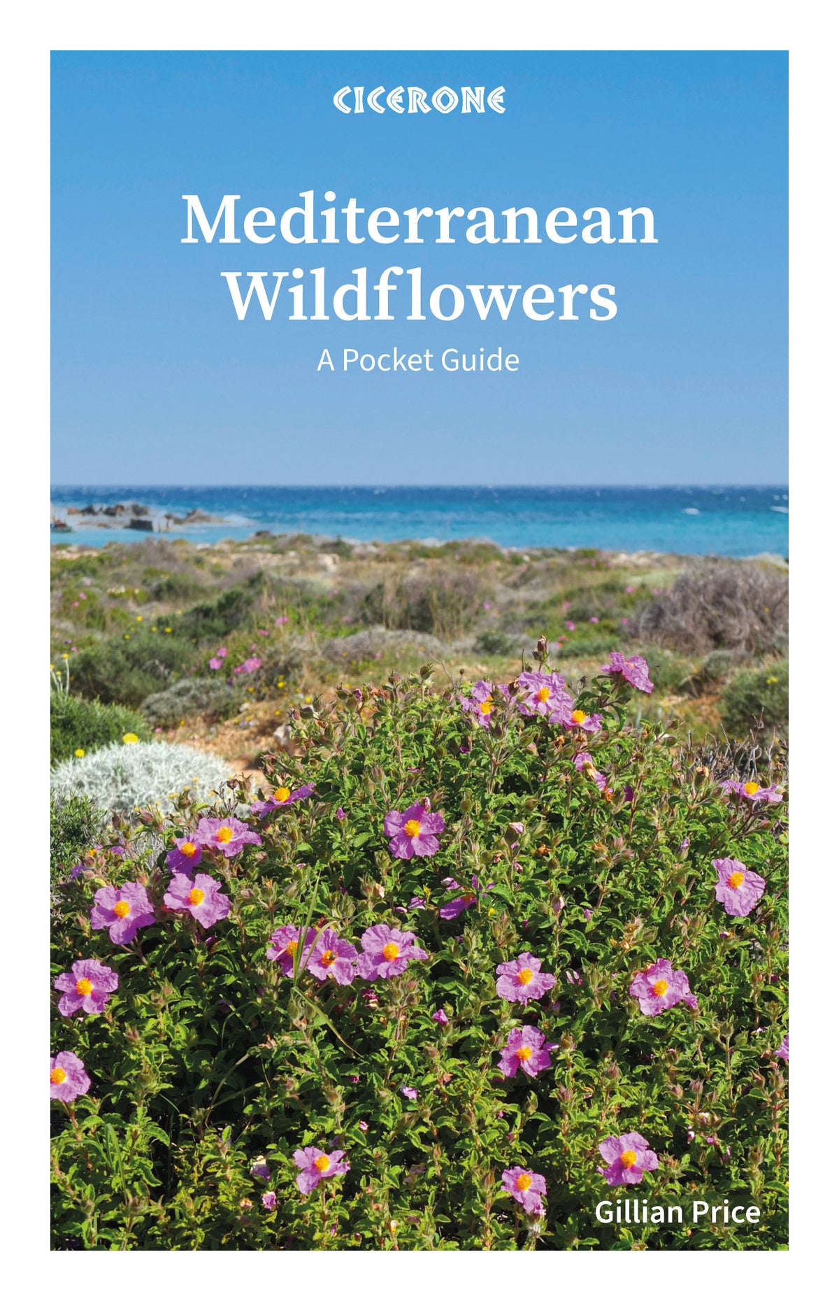 Mediterranean Wildflowers