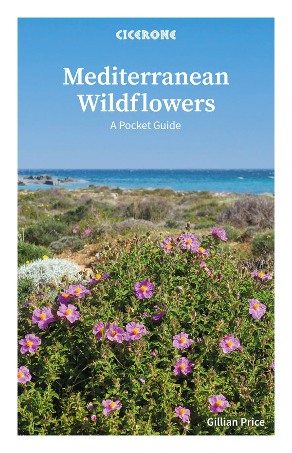 Mediterranean Wildflowers